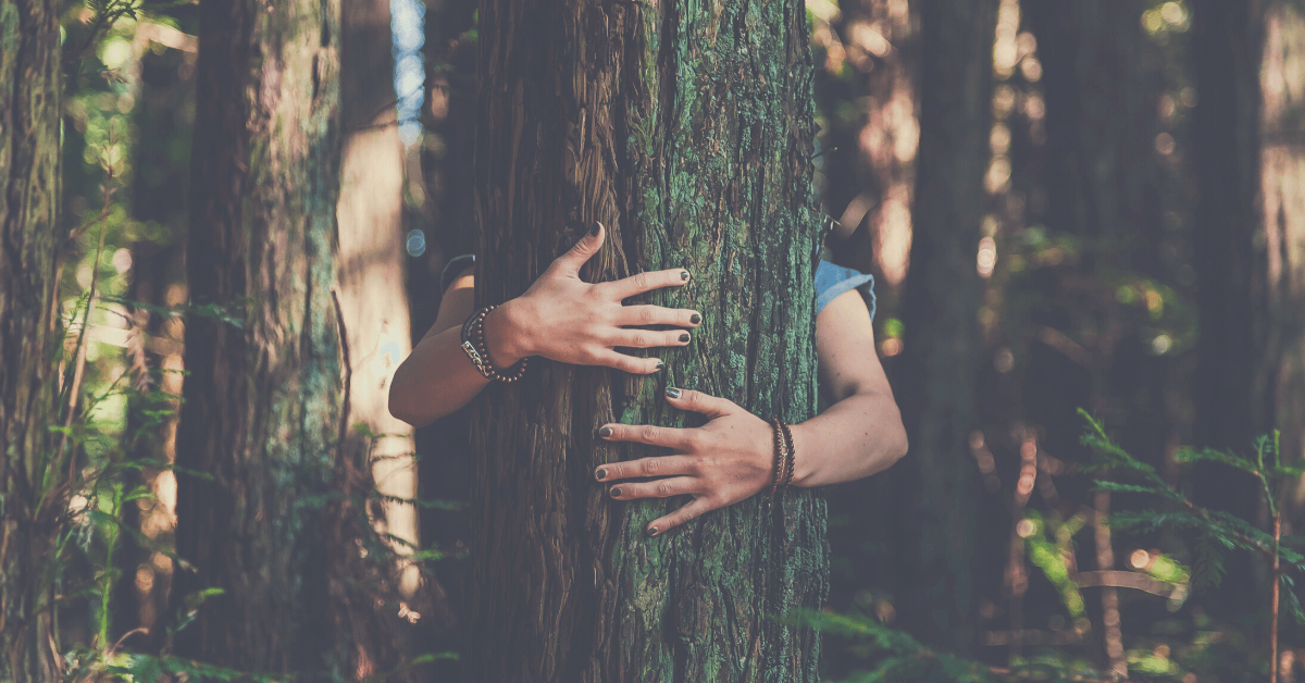 Czy natura nas uszczęśliwia, natura na szczęście, PS, Pracownia Szczęścia, szczęście