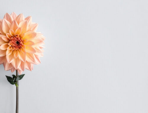 Wdzięczność w kryzysie – jak doceniać życie, gdy wszystko idzie nie tak?